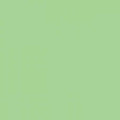 Spring Green - Confetti Cotton Solid - Riley Blake Designs - C120-SPRINGG
