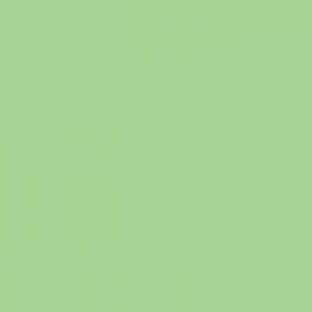 Spring Green - Confetti Cotton Solid - Riley Blake Designs - C120-SPRINGG