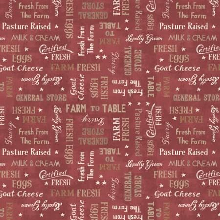 Farmhouse Chic - Red Words - Wilmington Prints - 89242-321
