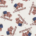 Seasonal Basics - Patriotic America - Springs Creative - 69494-1600715 - 887816309998