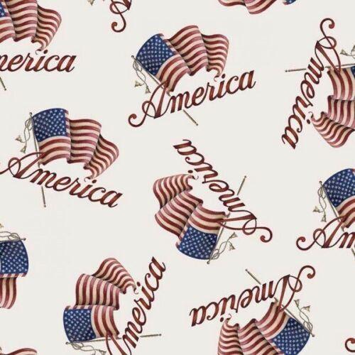 Seasonal Basics - Patriotic America - Springs Creative - 69494-1600715 - 887816309998