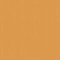 Butterscotch - Poparazzi In Color - Riley Blake Designs - C805R-BUTTERSCOTCH