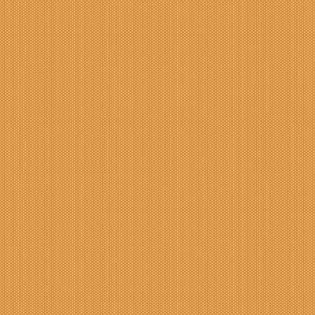 Butterscotch - Poparazzi In Color - Riley Blake Designs - C805R-BUTTERSCOTCH