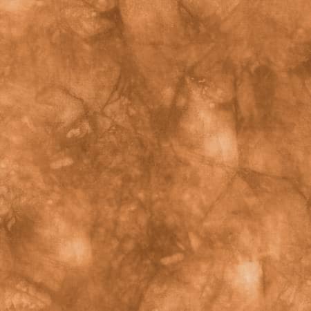 Orange Soda Batik - Camelot Fabrics - 21009-0044