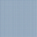 Blue Gingham Plaid - Lovely Bunch - Maywood Studio - 10276M-B
