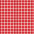 Bee Plaids Cozy Cayenne - Lori Holt - Riley Blake Designs - C12022R-CAYENNE