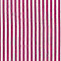 Plum BeColourful