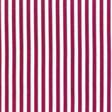 Plum BeColourful