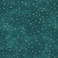 Turquoise Stars Digitally Printed - Forest Chatter - Maywood Studio - D10297M-Q