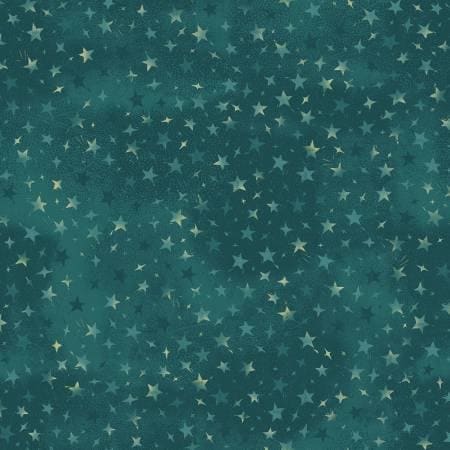 Turquoise Stars Digitally Printed - Forest Chatter - Maywood Studio - D10297M-Q