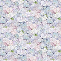 White Hydrangea Petals - Elizabeths Studio - 34004E-WHITE