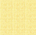 Lemon Blender Texture