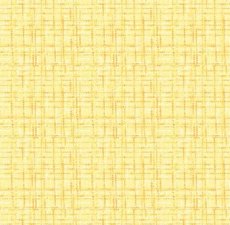Lemon Blender Texture