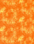 Solid-ish Basic - Orange - Kimberly Einmo -Timeless Treasures - C6100-Orange