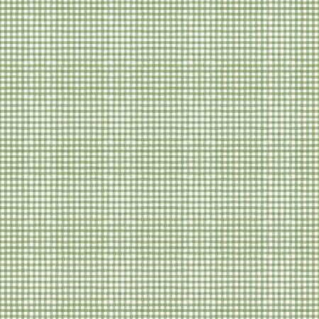 Gingham Green Christmas - Magical Winterland - Lisa Audit - Riley Blake - C14948R-GREEN