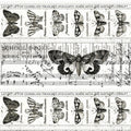 Collage Border White - Art Journal - J. Wecker Frisch - Riley Blake - C13033R-WHITE