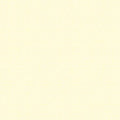 Texture In Color Vanilla - Riley Blake Designs - C610R-VANILL
