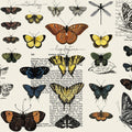 Butterflies Lt. Gray - Art Journal - J. Wecker Frisch - Riley Blake - CD13035R-LTGRAY
