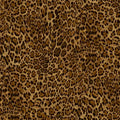 Leopard Skin - Savanna Sunrise - Windham Fabrics - 32742C-1