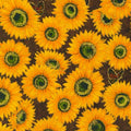 Sunflowers Brown w Metallic - Shades of the Season - Robert Kaufman - SRKM2089716
