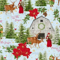 Frost Tis The Season - Comfort & Joy - w Metallic - Windham - 51883M 2