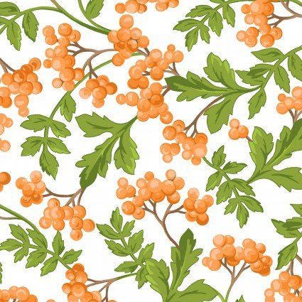 Fresh as a Daisy - Orange over White Berries and Leaves - Maywood Studio - MAS9643