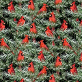 Black Packed Cardinals - Country Cardinals - Wilmington Prints - 20054-937