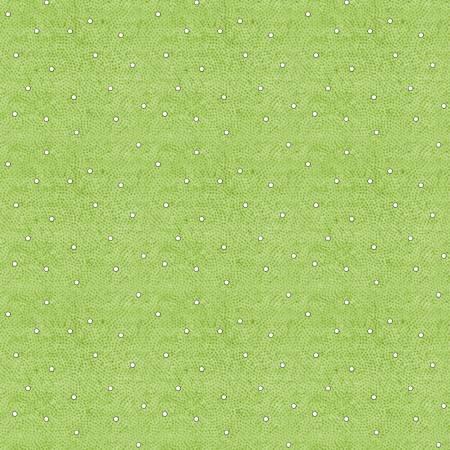 Nicholas Dot Texture Green - J. Wecker Frisch - Riley Blake - C12342R-GREEN