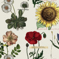 Botanicals Lt. Gray - Art Journal - J. Wecker Frisch - Riley Blake - CD13038R-LTGRAY