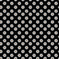 Black - Flora No. 6 Daisies - Riley Blake Designs - C14461R-BLACK