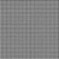 White Black Mini Gingham Classics - Wilmington Prints - 39161-199