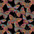 Rainbow Butterflies Black - Contempo Studio - Benartex - 13112-12