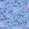 Blue Tonal - Dragonfly Days - Cedar West - Clothworks - Y3759-90