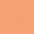 Marmalade - Poparazzi In Color - Riley Blake - C805R-MARMALADE