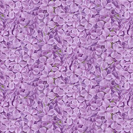 Lavender Packed Flowers - Bloomerang - Jane Shasky - Henry Glass - 958-55
