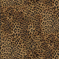 Leopard Skin Print - Timeless Treasures - C2717-LEOP